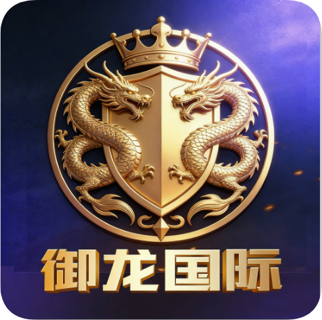 御龙国际